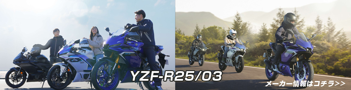 YZF-R25